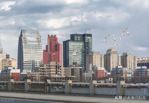 長春房價(jià)跌破9千5元,長春樓市降溫,9月第三周長春樓市數(shù)據(jù)