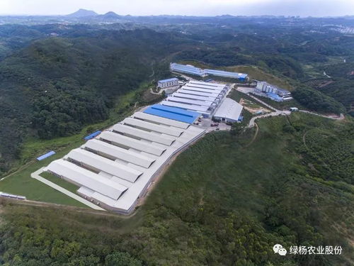 茂名也有牧場 有,這兩個(gè)還入選了廣東首批十大美麗牧場
